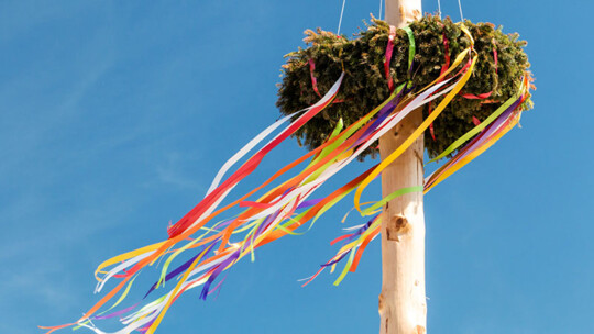 Maibaum